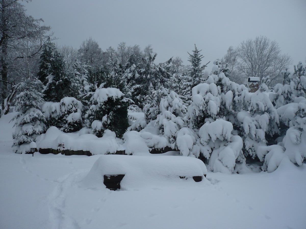 Villa U Myslivce Kamenicky Senov Exterior foto